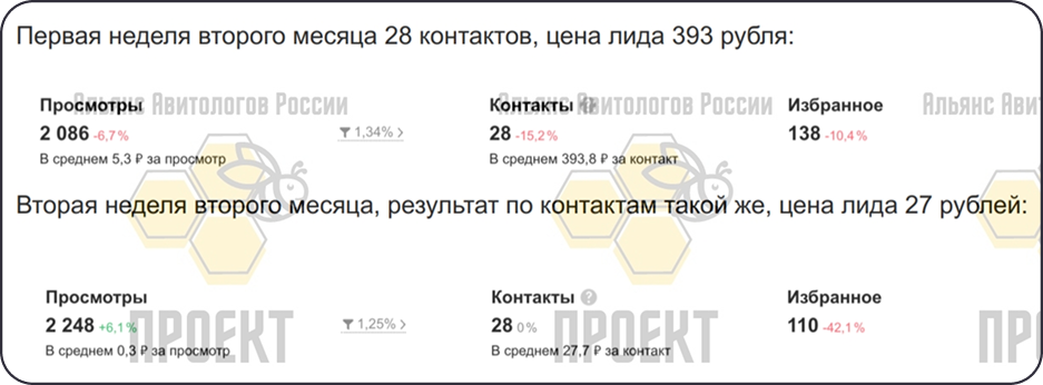Статистика оптового магазина одежды на Авито